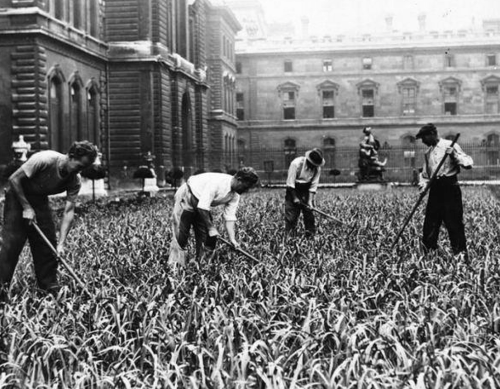 capture-decran-2017-01-22-a-13-10-00