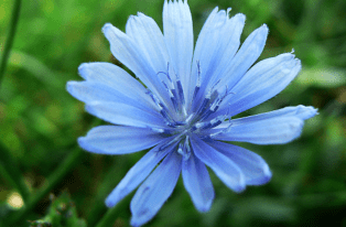 capture-decran-2017-02-24-a-18-38-13