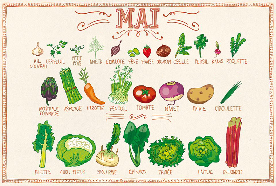 11198813_10205101939082140_1485454124_n