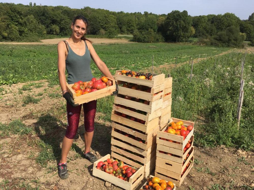 ca8738d9-d0fd-4835-a5df-20c921f5b44c